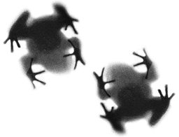 FooterLogo